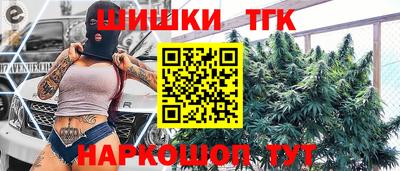 твердый Камышлов