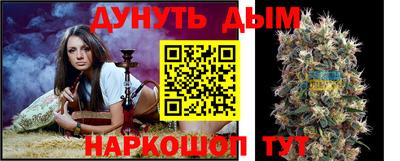 гашик Ипатово