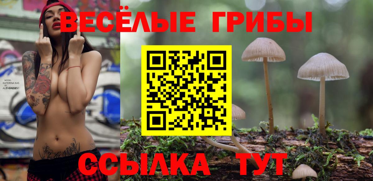 Галлюциногенные грибы Psilocybe Кызыл